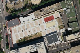 Le jardin partagé de la dalle Hannah Arendt, un potager qui ne manque pas d'air : Présentation d'un jardin collectif sur le toit d'un supermarché.