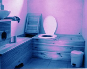 Grand Concours de Toilettes à Litières ! : 