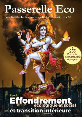 Danse de Shiva sur fond de pollution industrielle : 