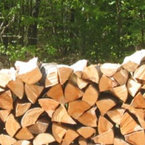 Séchage du bois de chauffage : l'expérience d'un forestier