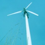 Lettre ouverte à quelques anti-éoliens « primaires »