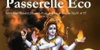 Danse de Shiva sur fond de pollution industrielle