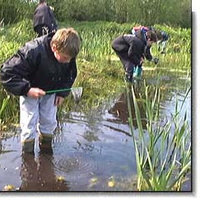 2 février 2006 : Journée mondiale des zones humides, écosystèmes déterminants pour la biodiversité.