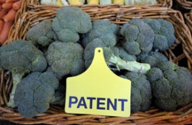 Deux brevets, sur le brocoli et la tomate ridée, en voie d'être annulés : Le 9 décembre 2010, La grande Chambre des recours de l'Office européen des brevets a rendu sa décision concernant les affaires « brocoli » et « tomate ridée ». Les deux affaires ont été traitées au cours d'une procédure commune.