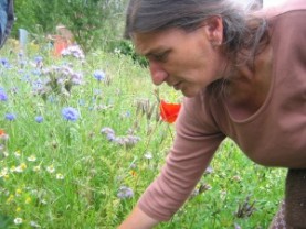 Belgique : formation longue en permaculture : 