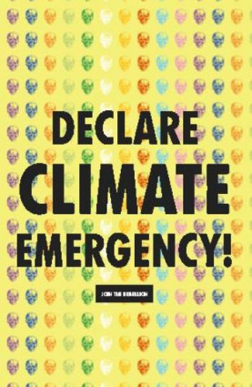 Pour renouveler l'action écologiste : Bilan de l'action de Extinction Rebellion Belgique et recherche de stratégies concrètes pour développer l'action pour le climat.